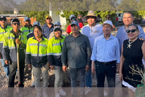 croc, 2025, croc, bcs, gobierno, estado, reforestan, parque, pueblo, nuevo, en, paz