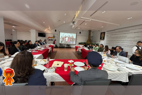 croc, 2025, croc, avanza, en, su, plan, estrategico, seguimiento, nacional, eventos, regionales, alianza, con, conocer