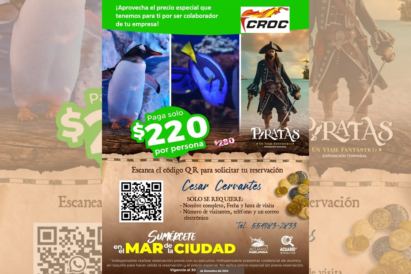 croc, acuario, inbursa